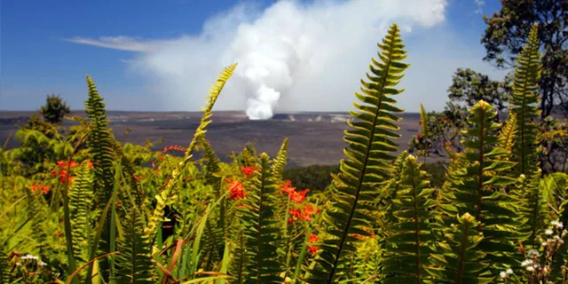 Kona to Oahu Pearl Harbor Adventure - Image 1