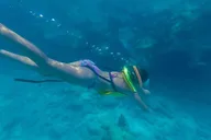 Key West Snorkel Sail with Mimosas and Breakfast thumbnail 4