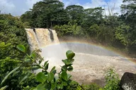 Big Island Volcano, Waterfalls & Coffee Tour thumbnail 2