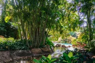Orlando Discovery Cove Admission & Parks thumbnail 6
