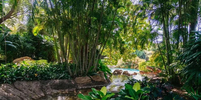 Orlando Discovery Cove Admission & Parks - Image 6