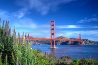 San Francisco Private Trail Tour thumbnail 3
