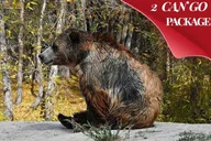Yellowstone and Grand Teton 5-Day Small Group Tour thumbnail 2