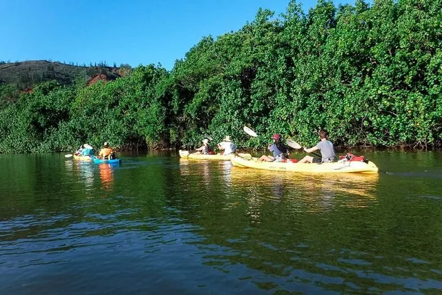 Wailua River Paddle Tour - Image 4