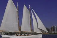 New York City Sailboat Cruise to the Statue of Liberty thumbnail 4