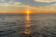 Cape May Dolphin Watching Sunset Cruise thumbnail 1