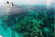Key West Dry Tortugas Catamaran Day Trip thumbnail 5