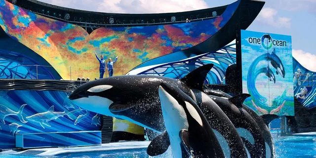 Orlando SeaWorld Park Admission - Image 1