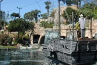 Orlando Pirate's Cove Adventure Golf thumbnail 4