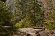 Olympic Valley Self-Guided Stroll thumbnail 2