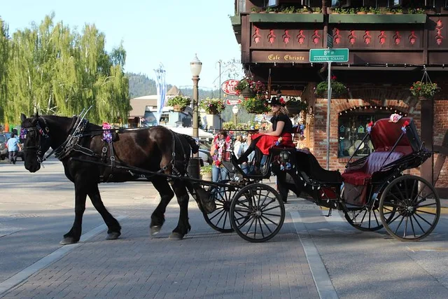 Seattle Cascade Mountains Leavenworth Day Tour - Image 5
