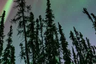 Fairbanks Aurora Borealis Tour thumbnail 1