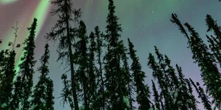 Fairbanks Aurora Borealis Tour