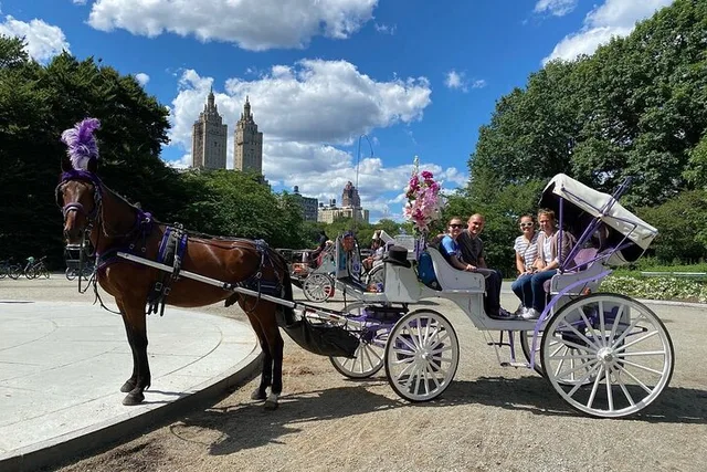 NYC Central Park Horse Carriage Ride - Image 3