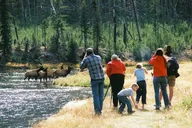 Yellowstone Grand Tour thumbnail 3