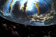 Catalina Island Immersive Movie Experience thumbnail 5