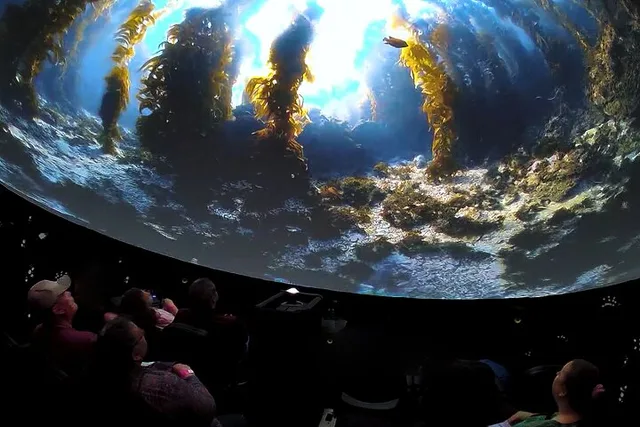 Catalina Island Immersive Movie Experience - Image 5