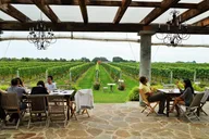 Long Island Winery Tour thumbnail 4
