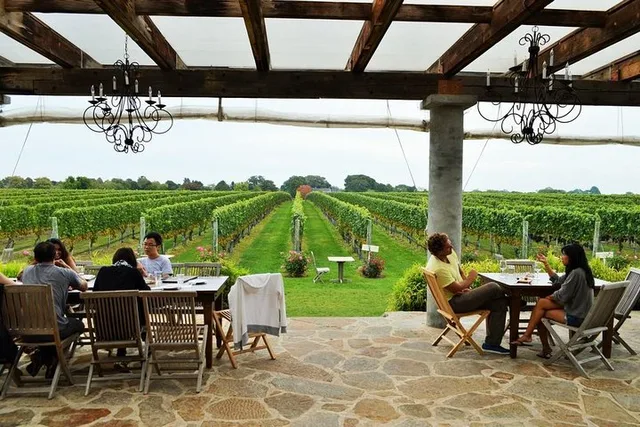 Long Island Winery Tour - Image 4