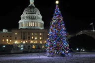 Washington, DC Holiday Lights Bus Tour thumbnail 1