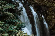 Maui Road to Hana Private Tour thumbnail 6