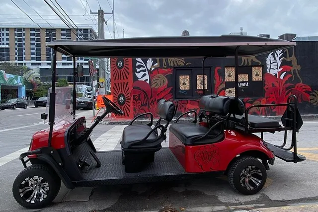 Miami Street Art Tour by Artist in 1 hr - Image 3