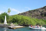Kealakekua Bay Snorkel Tour in Captain Cook thumbnail 1