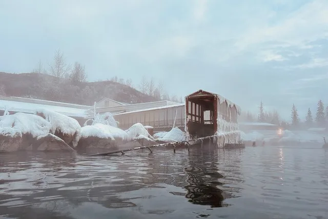 Chena Hot Springs Day Trip - Image 5