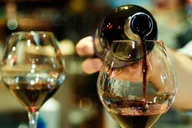 Tucson Wine Tour in Elgin 6 hr thumbnail 5