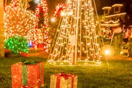 Brooklyn Dyker Heights Christmas Lights Tour thumbnail 5