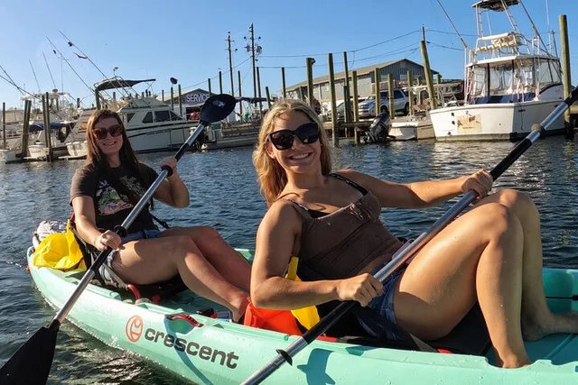 Crystal River Double Kayak Rental - Image 3