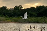 Grapevine Lake Kayak Eco Tour thumbnail 1