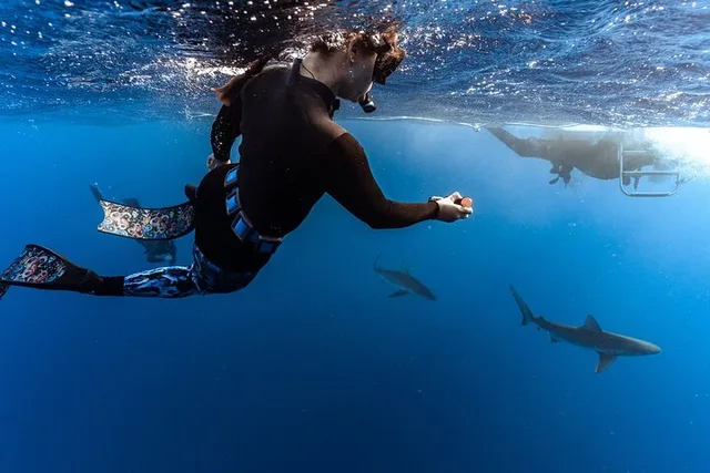 Oahu Shark Dive Educational Tour - Image 5