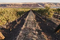 Woodinville Winery Pass thumbnail 1