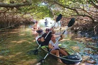 St. Pete Clear Kayak Tour in Shell Key thumbnail 5