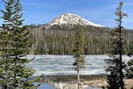 Salt Lake City Birding and Nature Expedition thumbnail 4