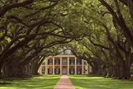 New Orleans Plantation Tour with Transportation thumbnail 5