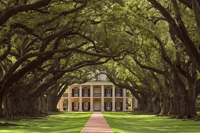New Orleans Plantation Tour with Transportation - Image 5
