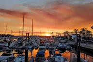 Marina del Rey Scenic Wildlife Boat Cruise thumbnail 6