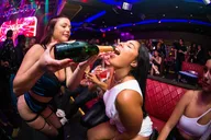 Miami Bar Crawl thumbnail 4