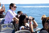 New York City Whale Watching Cruise thumbnail 6