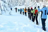 Albuquerque Snowshoe Experience at Sandia Peak thumbnail 4