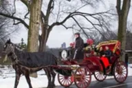 New York City Central Park Horse Carriage Ride 45 Min thumbnail 2