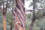 Sedona Vortex Tour thumbnail 4