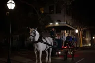 Charleston Haunted Horse-Drawn Carriage Tour thumbnail 4