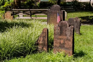 New York City African American History Tour