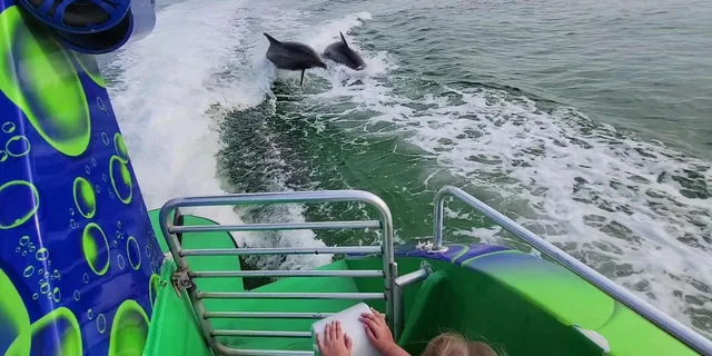 Destin Dolphin Cruise aboard the Hydrojet - Image 6