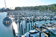 Santa Barbara Harbor Wildlife Kayak Tour 2 hr thumbnail 2