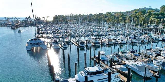 Santa Barbara Harbor Wildlife Kayak Tour 2 hr - Image 2