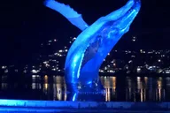 Juneau Scenic Road Trip thumbnail 4